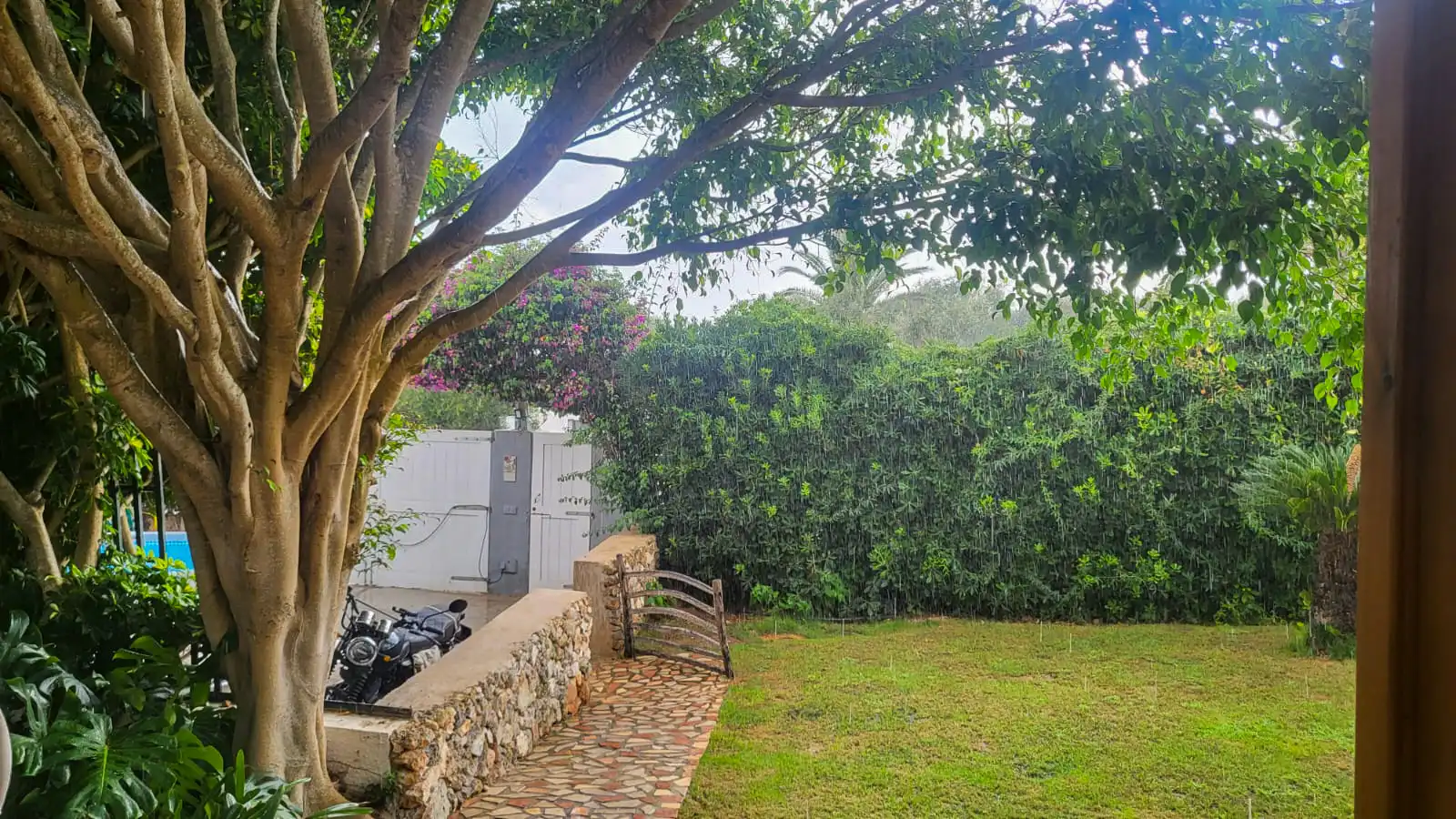Jardí de Casa o xalet en venda en Sant Lluís amb Aire condicionat, Calefacció i Jardí privat
