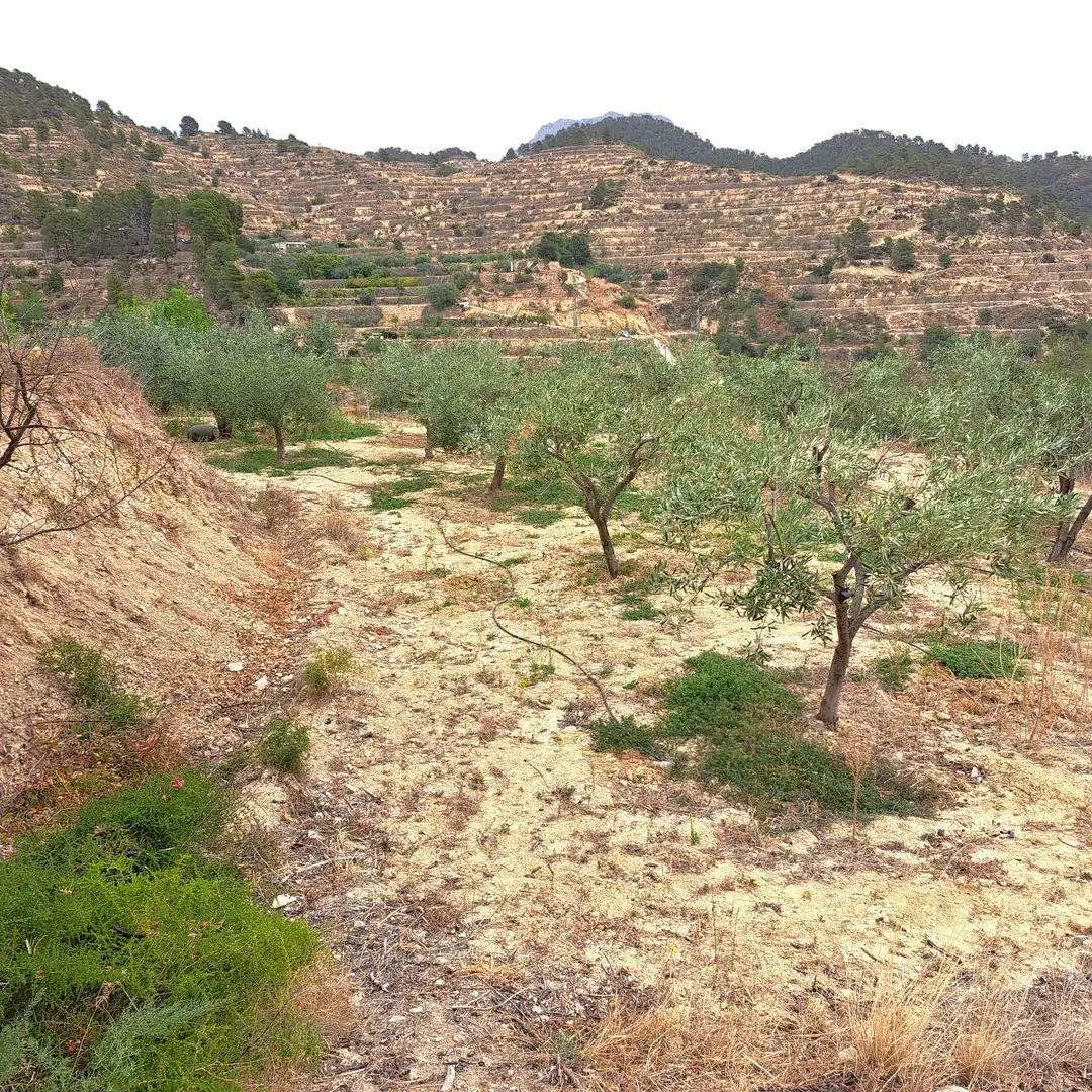 Finca rústica en venta en Sella