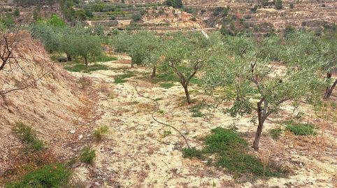 Foto 5 de Finca rústica en venta en 4, Sella, Alicante