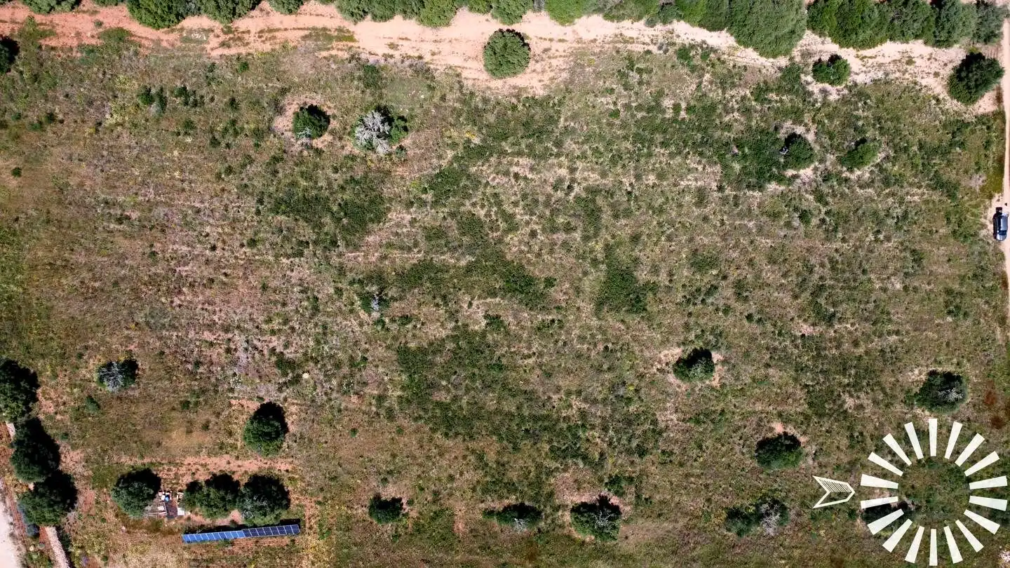 Rural land for sale in Pologino 3 Parcela 107, imagen 31