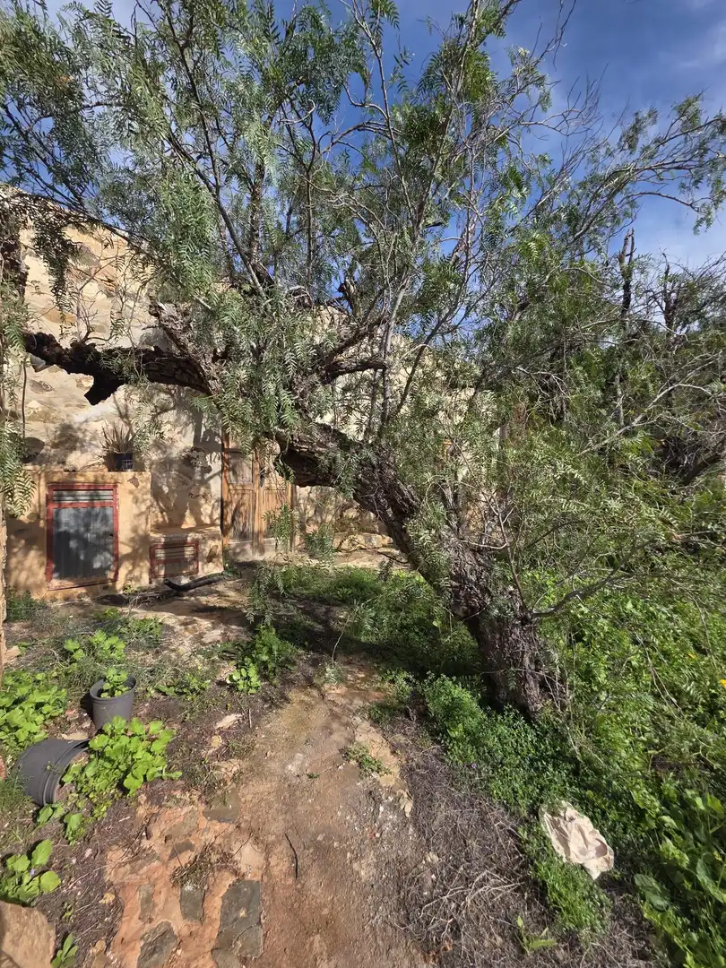 Vista exterior de Finca rústica en venta en Antigua con Jardín privado