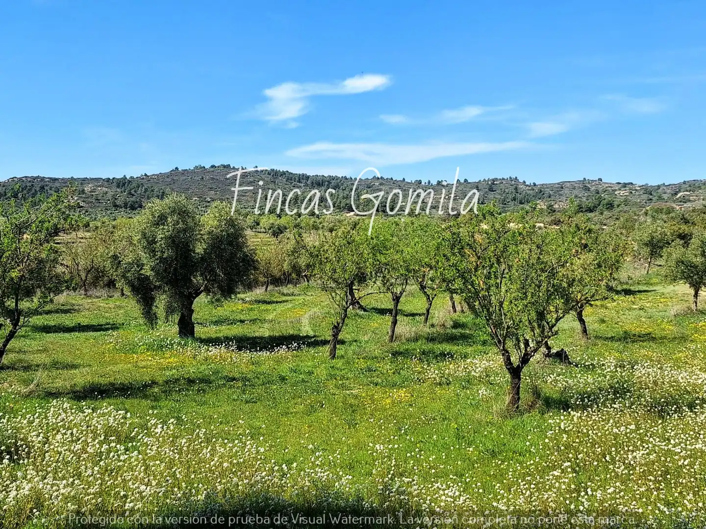 Rural land for sale in 8, imagen 25