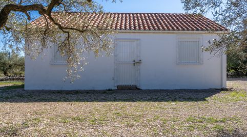 Finca rústica con casa de campo para acabar. No hay ni agua luz.