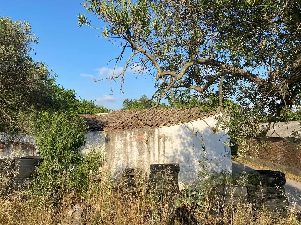 Wohnbaugrundstück zum Verkauf in cmno Roquis, imagen 6