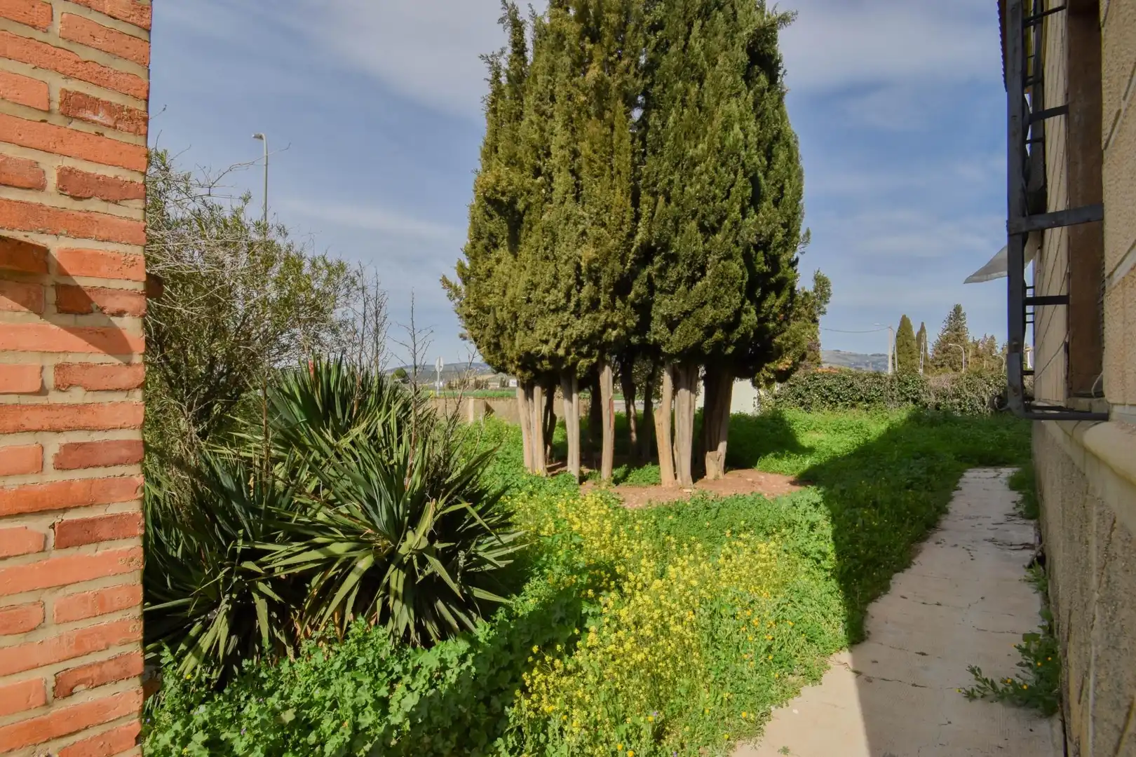 Detached house with terrace for sale in ESTACION, imagen 6
