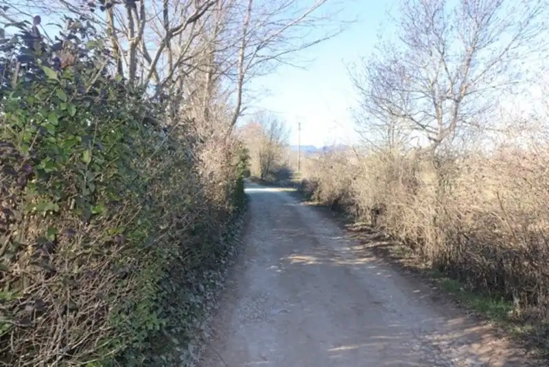 Terreni e lotti in vendita a Casco Urbano, imagen 8