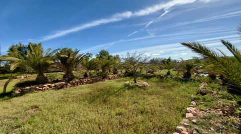 Foto 4 de Finca rústica en venta en Miguel Betancor García, Tuineje pueblo, Tuineje