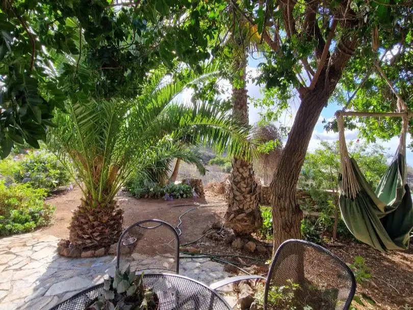 Maison rustique avec piscine à vendre à Calle Campo Santo 11, imagen 29