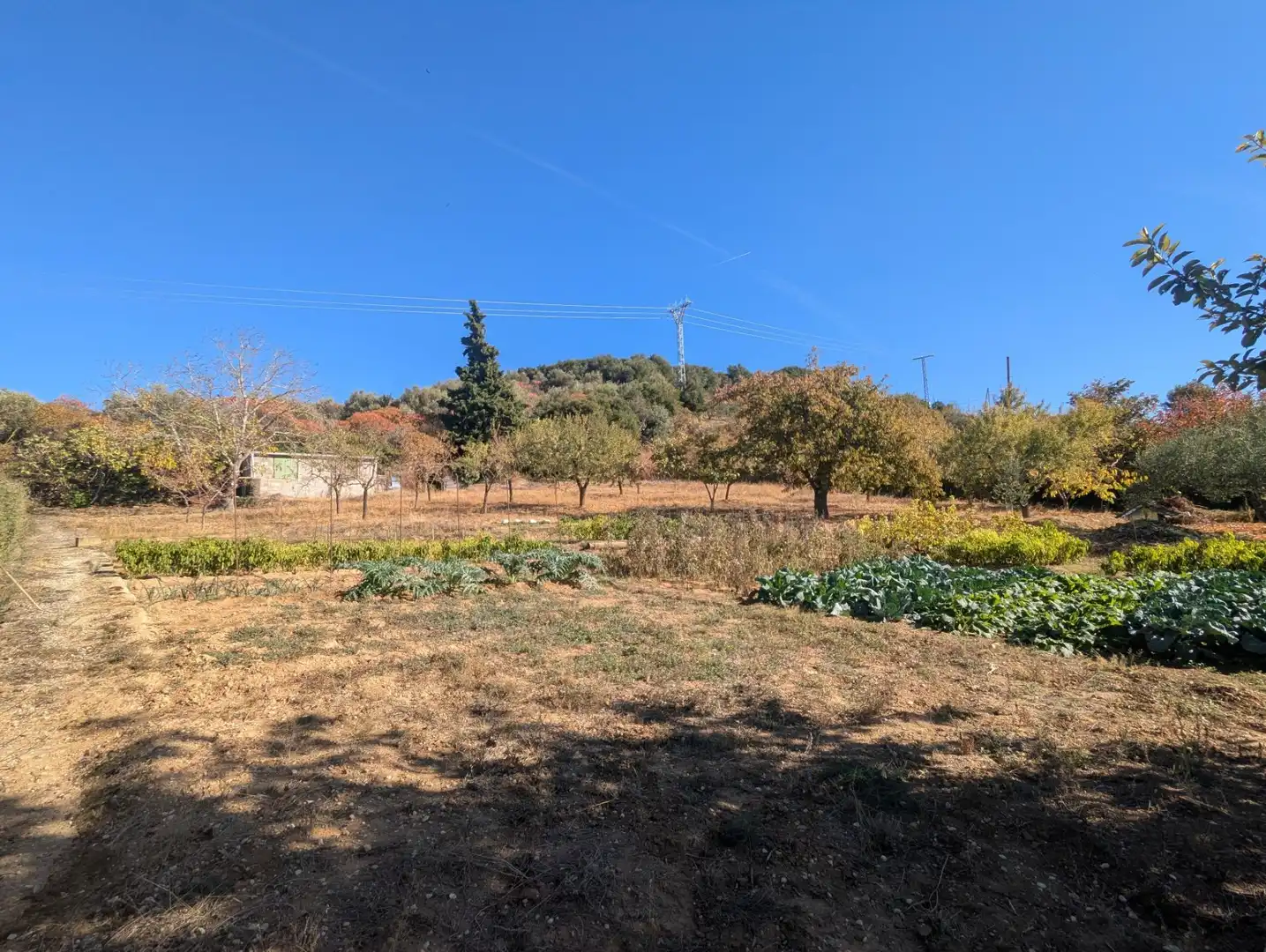 Terreno rustico in vendita a Estella / Lizarra, imagen 6