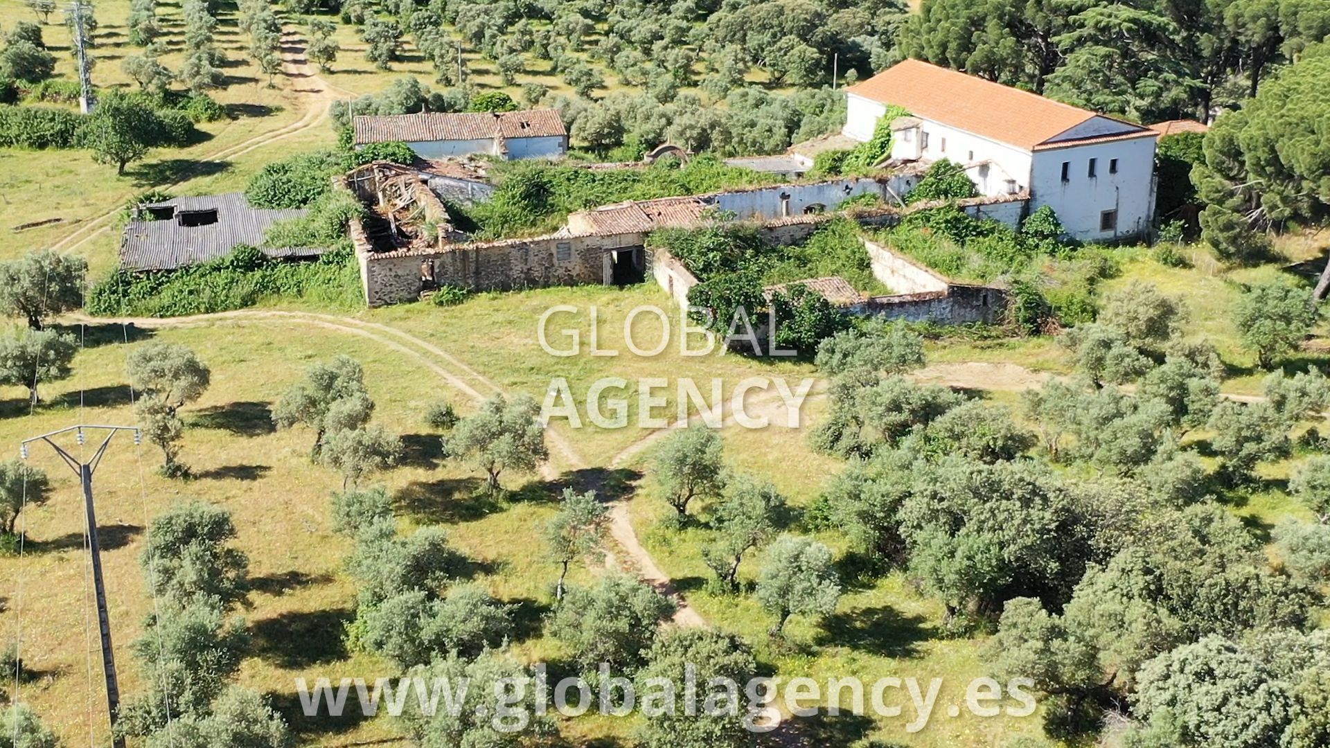 Land for sale in Plasencia