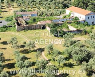 Land for sale in Plasencia