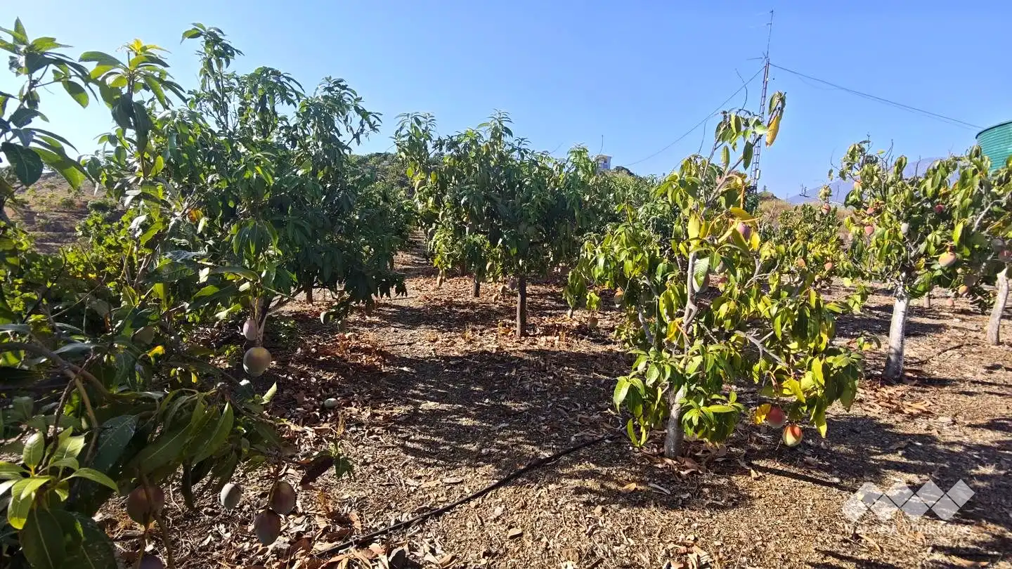 Terreno rústico en venta en Diseminado Atalaya Baja, imagen 7