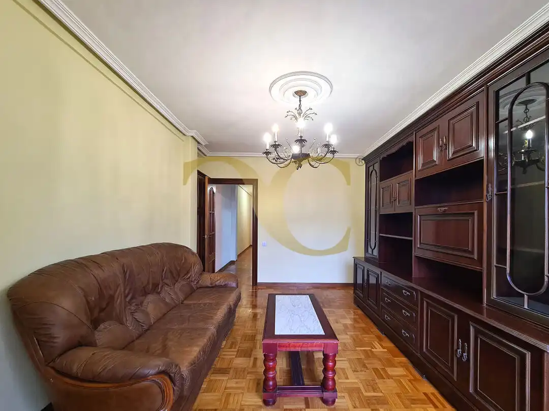 Sala de estar de Piso en venta en Oviedo  con Terraza