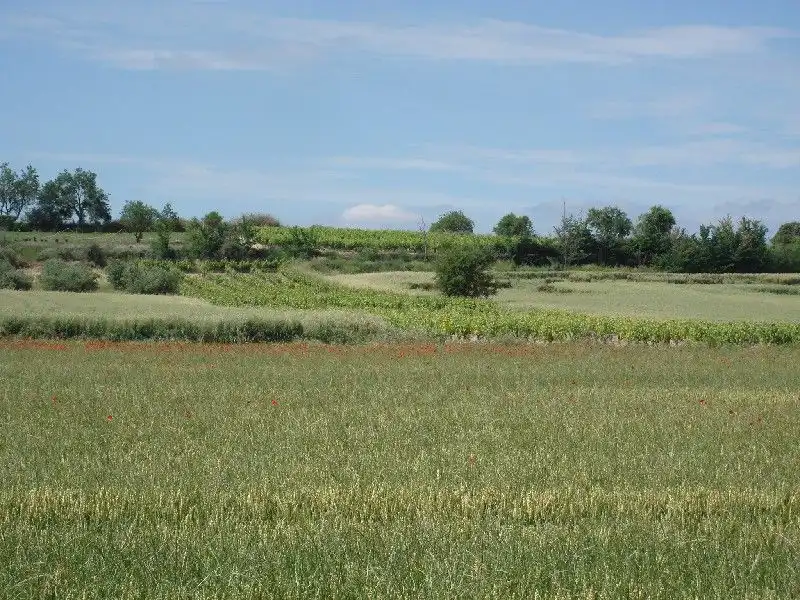 Terreny rústic en venda a Villamediana de Iregua, imagen 2