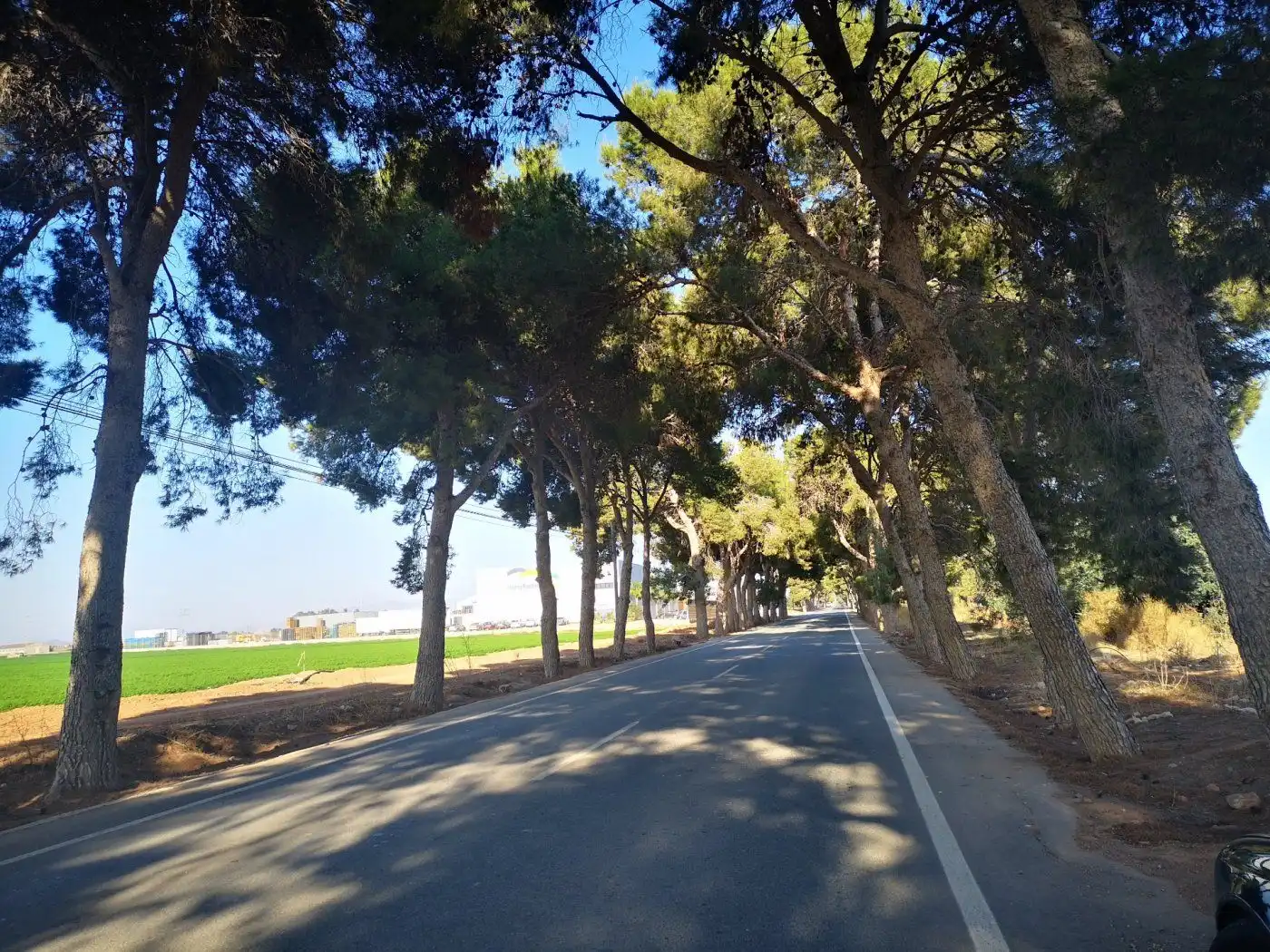 Vista exterior de Finca rústica en venta en Cartagena