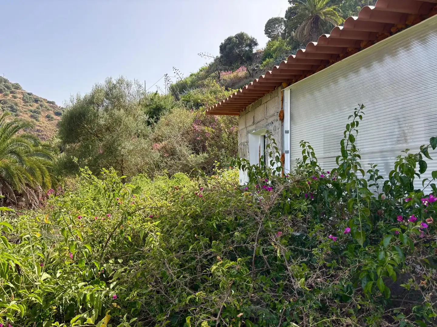Vista exterior de Finca rústica en venda en Santa Brígida amb Rentadora