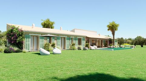 MAGNÍFICA FINCA CON PROYECTO APROBADO EN PETRA, immagine 2
