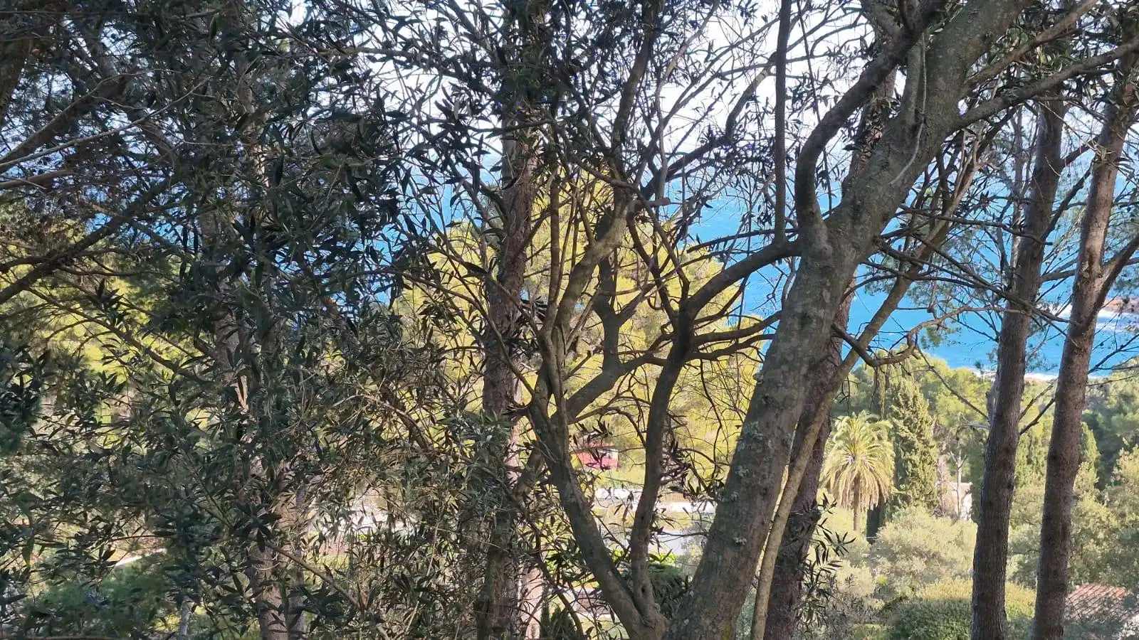 Vista exterior de Residencial en venta en Begur