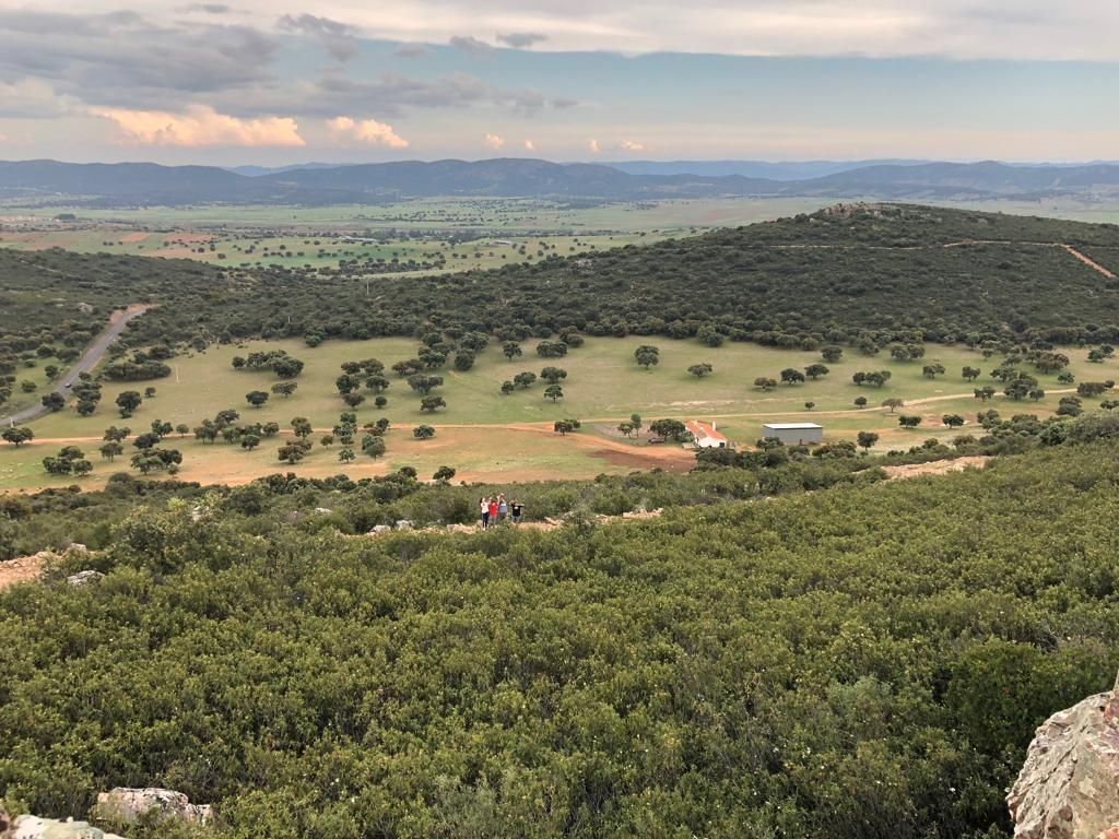 Country house for sale in Almodóvar del Campo  with Terrace