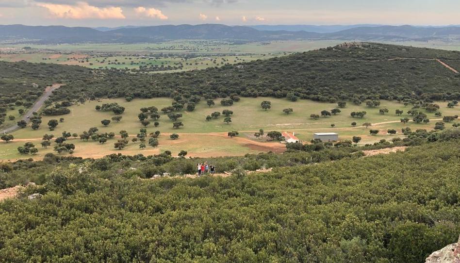 Foto 1 de Finca rústica en venda a Almodóvar del Campo, Ciudad Real