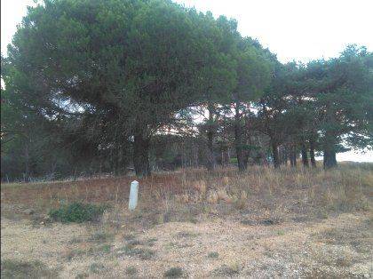 Terreno en Venta en Real