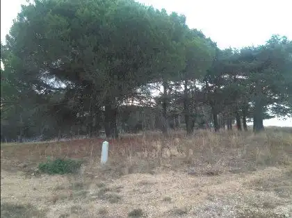 Terreno rústico en venta en Real