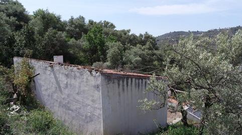 Photo 3 of Country house for sale in Torrox Pueblo, Málaga