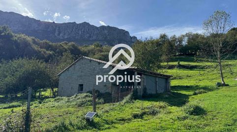 Photo 5 of House or chalet for sale in Inguanzo, Cabrales, Asturias