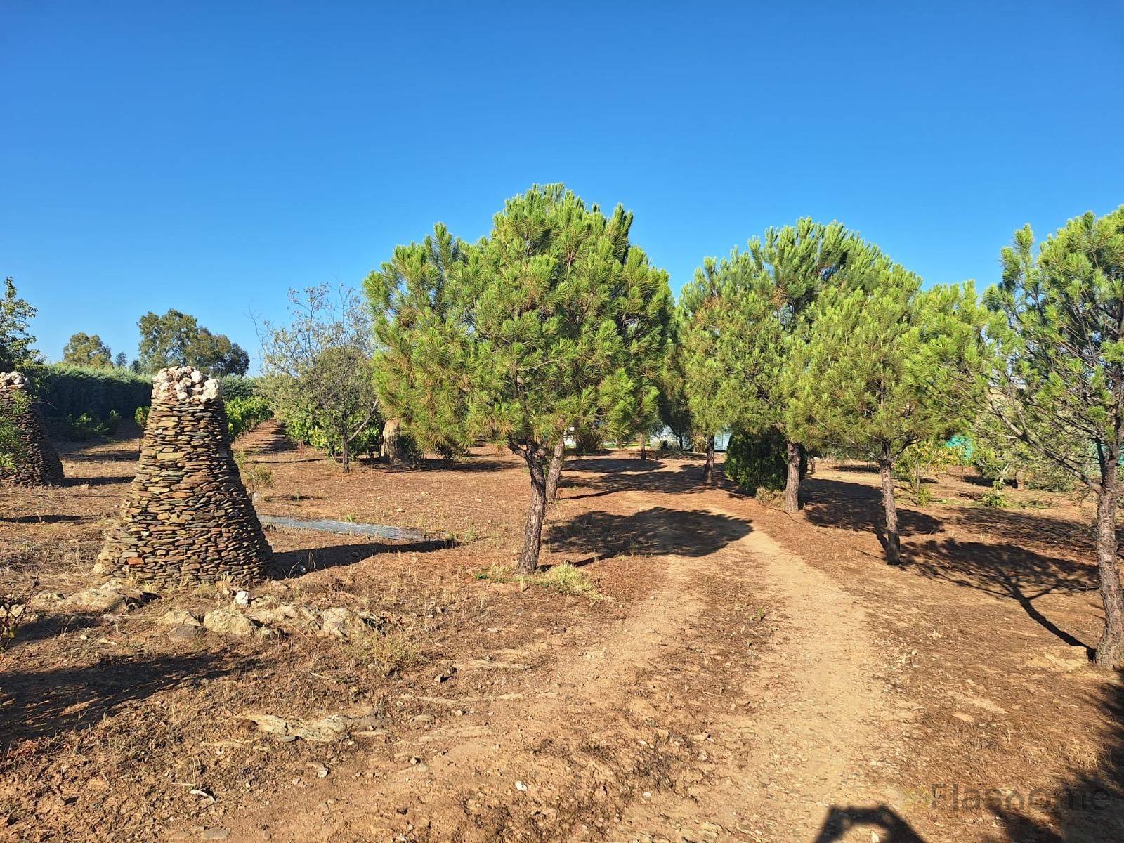 Residential for sale in La Coronada