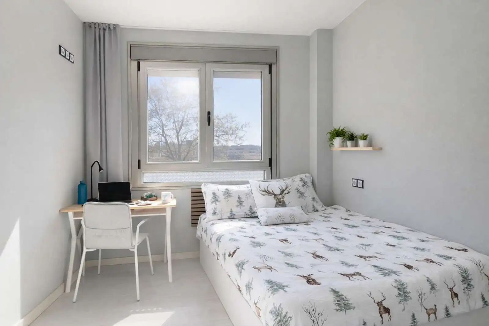 Room in Buena Vista