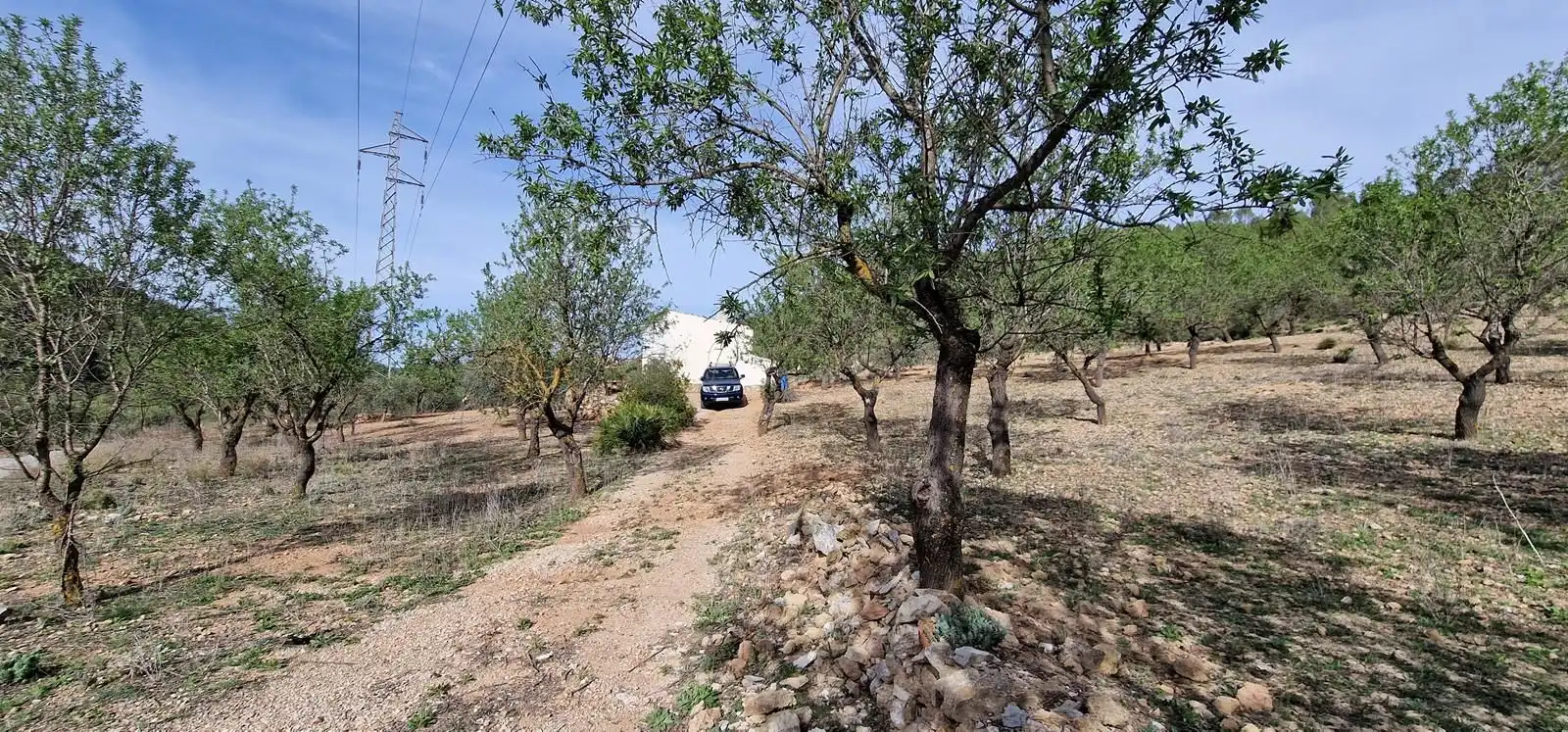 Casa rústica en venta en Cortes de Pallás, imagen 32