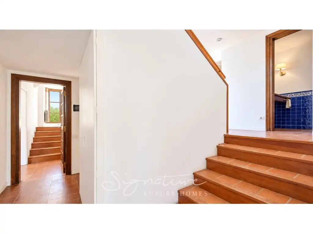 House with pool to rent in Camino Salut, imagen 32