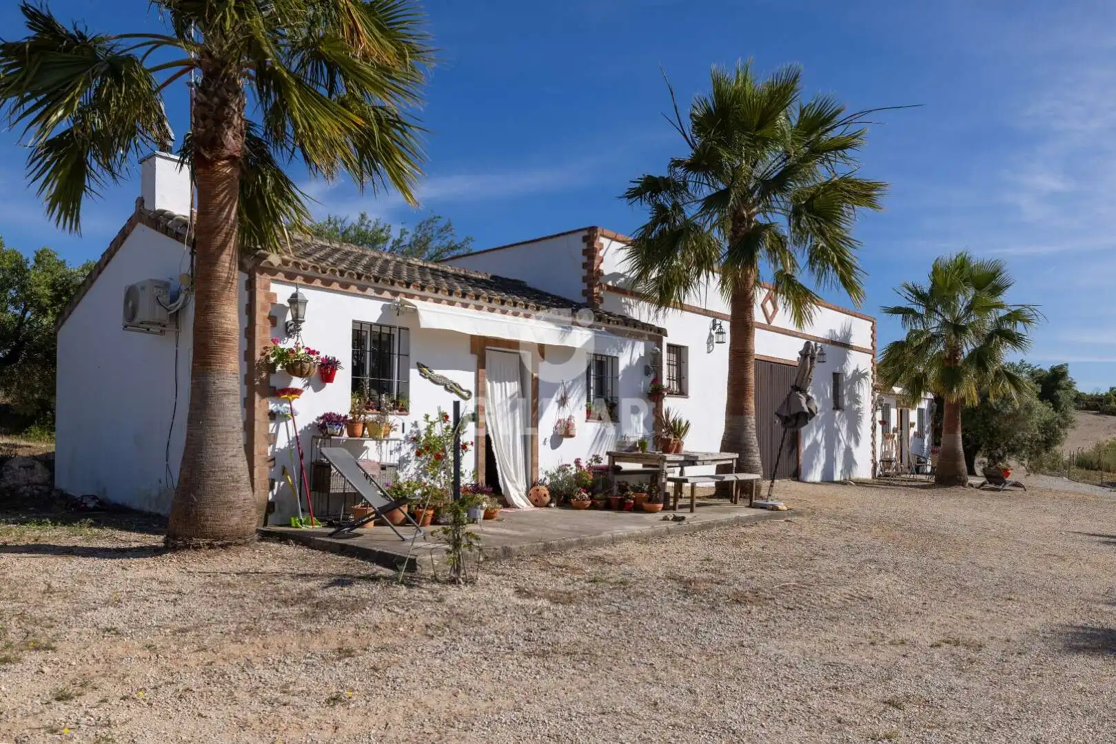 Chalet con jardín en venta en Arcos de la Frontera, imagen 17