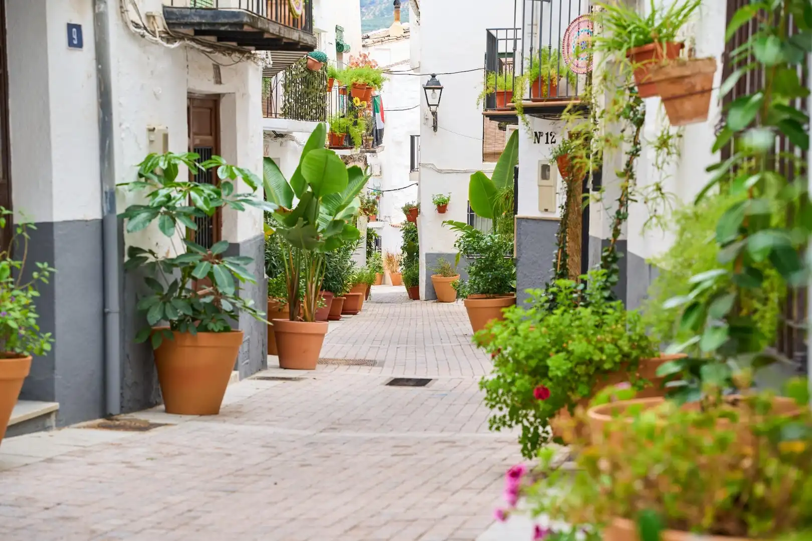 Exterior view of Buildings for sale in Quesada