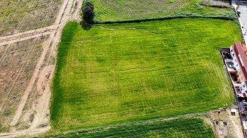Foto 2 de Terreno en venta en Carretera Sc Subs, Carrión de los Céspedes, Sevilla