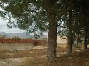 Terreny rústic en venda a Partida Sol del Camp, imagen 5