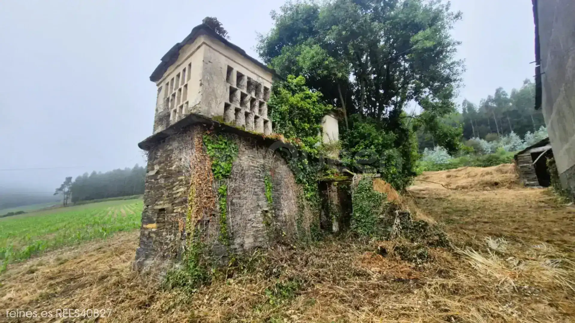 Vista exterior de Casa o xalet en venda en Trabada amb Jardí privat