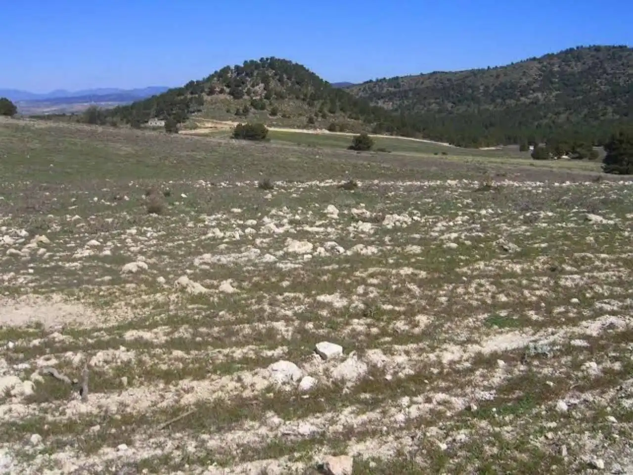 Terrains et parcelles à vendre à Pedanías Norte, imagen 14
