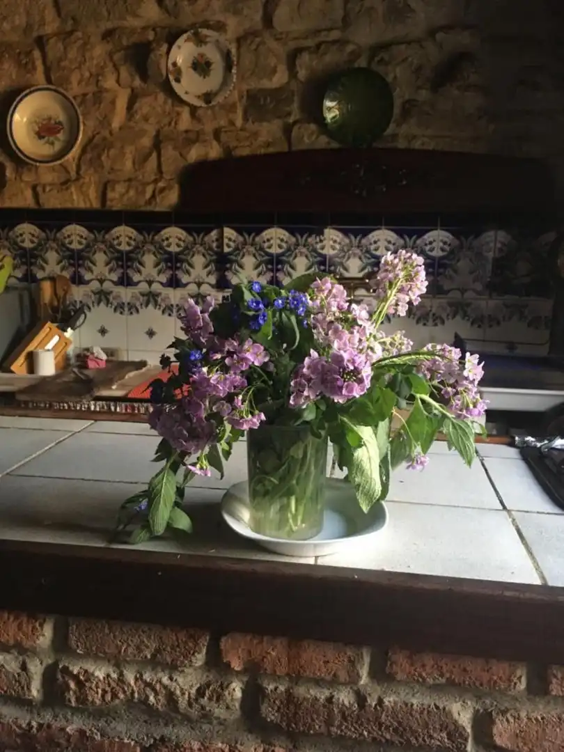 Jardí de Casa o xalet en venda en Polaciones