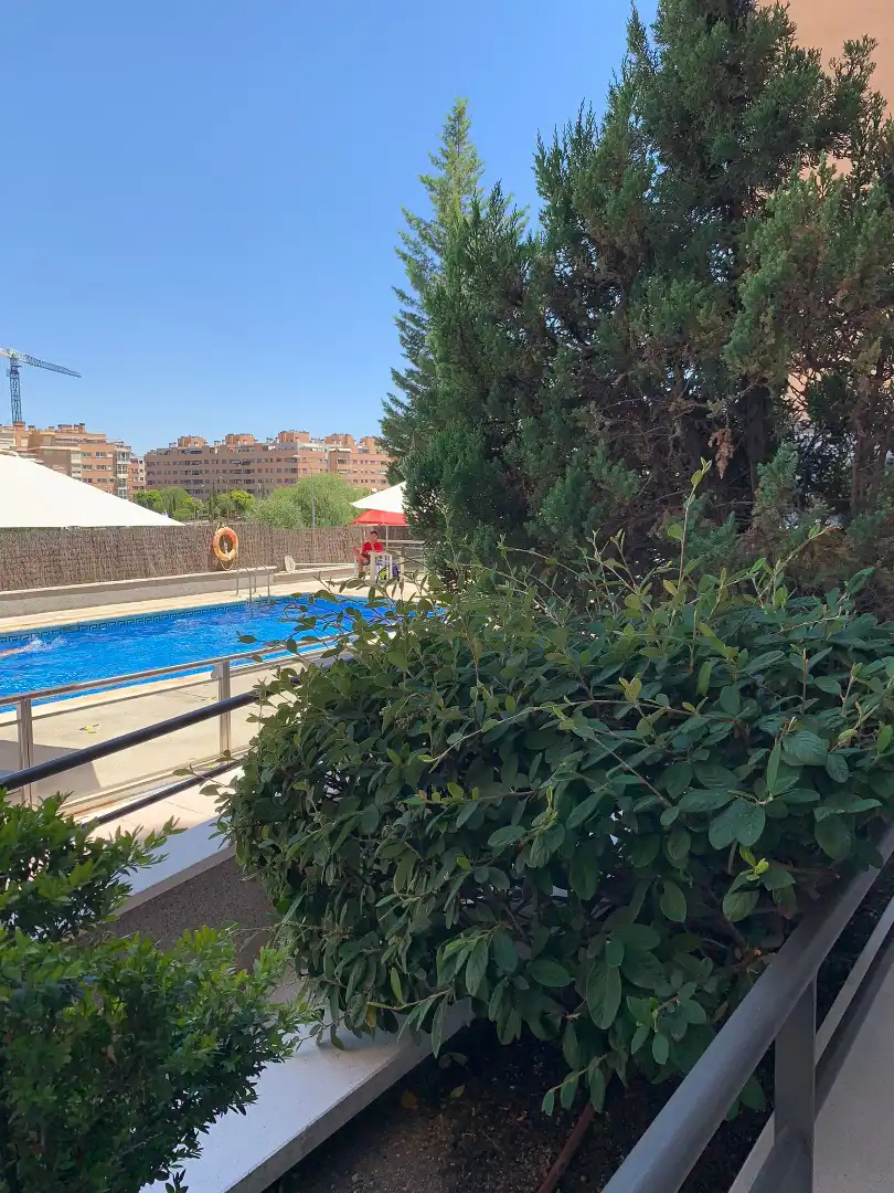 Swimming pool of Flat for rent in Madrid  with Air Conditioner, Heating and Parquet flooring