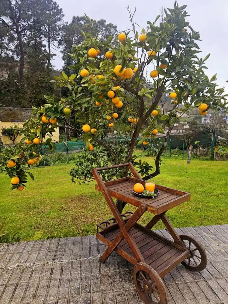 Garden of Houses for rent in Cangas   with Heating, Private garden and Terrace
