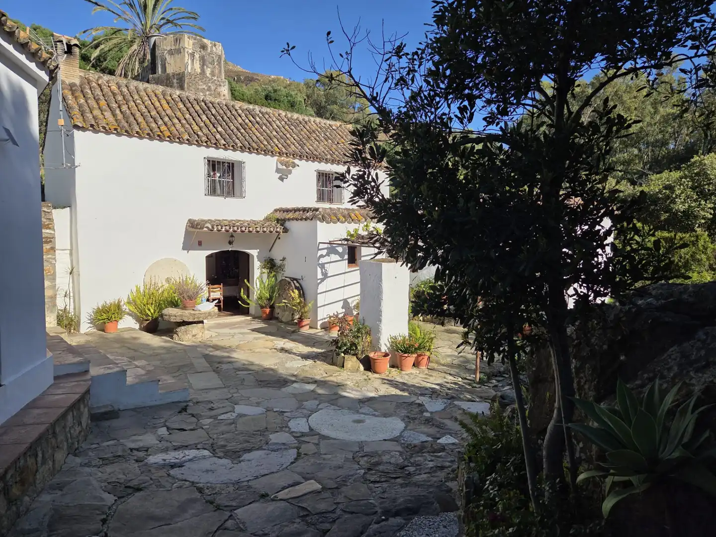 Exterior view of Country homes for sale in Tarifa ciudad