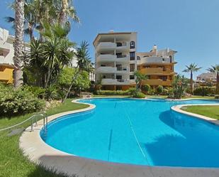 Piscina de Apartament de lloguer en Torrevieja amb Piscina