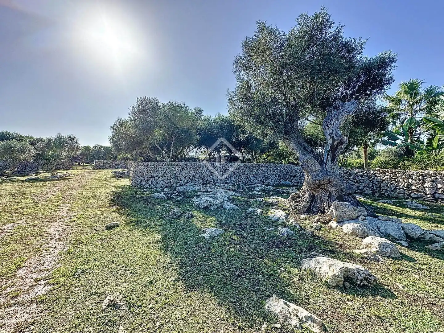 Casa rustica con terrazza in vendita a Sant Lluís - S'Ullestrar - Torret, imagen 71