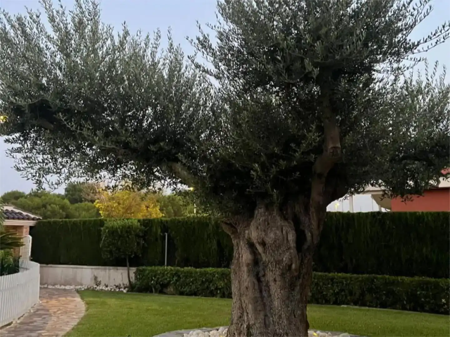 Jardí de Casa o xalet de lloguer en Castellón de la Plana / Castelló de la Plana amb Aire condicionat, Jardí privat i Parquet