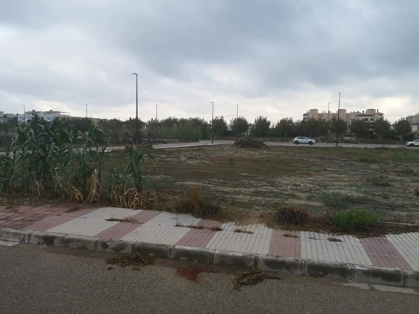Terrain résidentiel à vendre à carrer campos 2, imagen 5