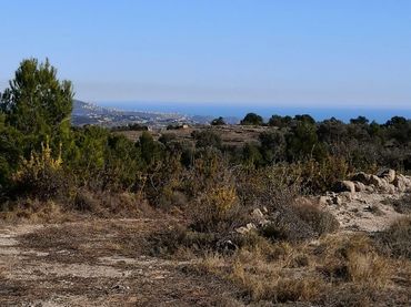 Terrenys i solars en venda a Xaló