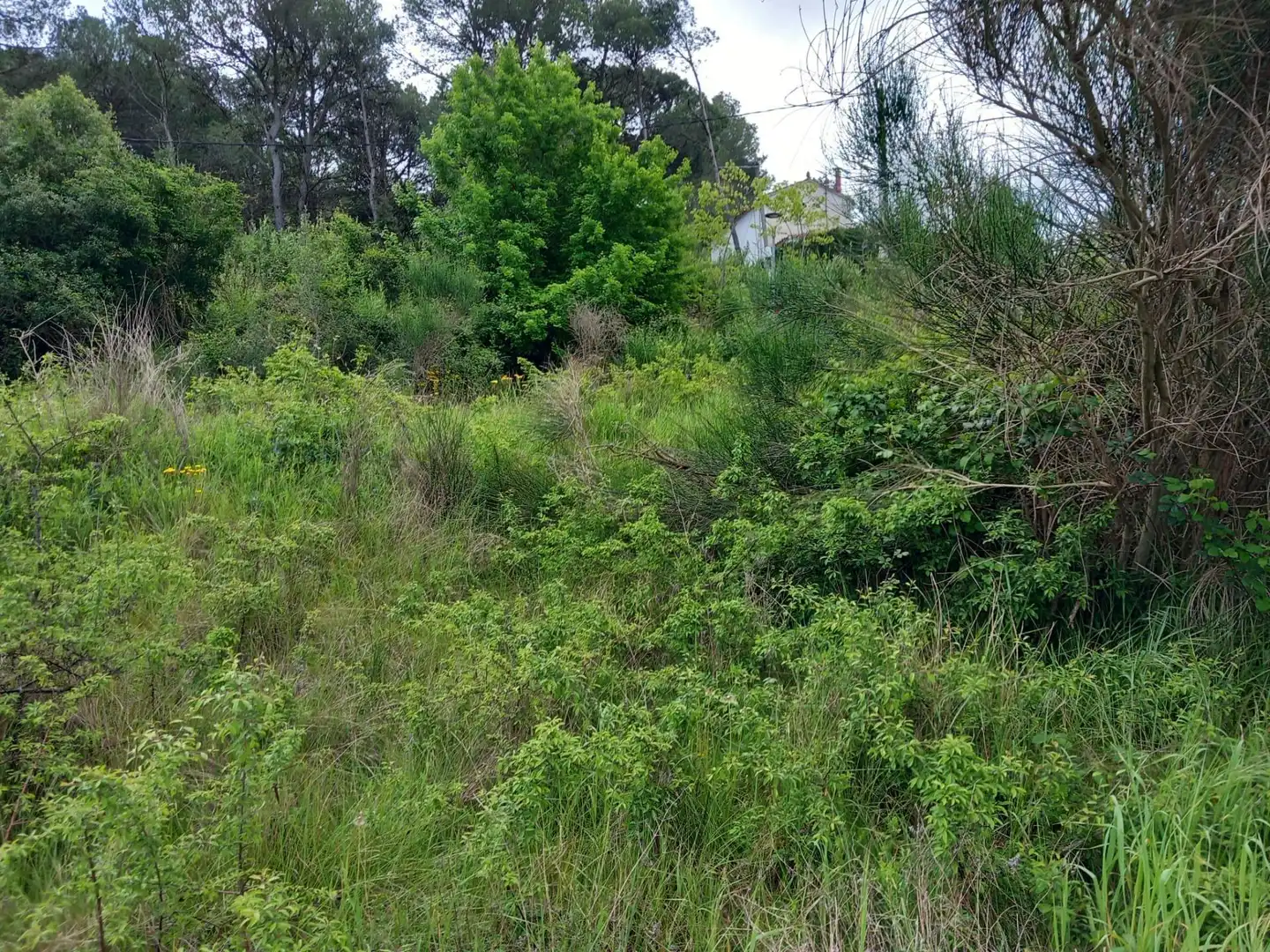 Residential land for sale in Pontons, imagen 30