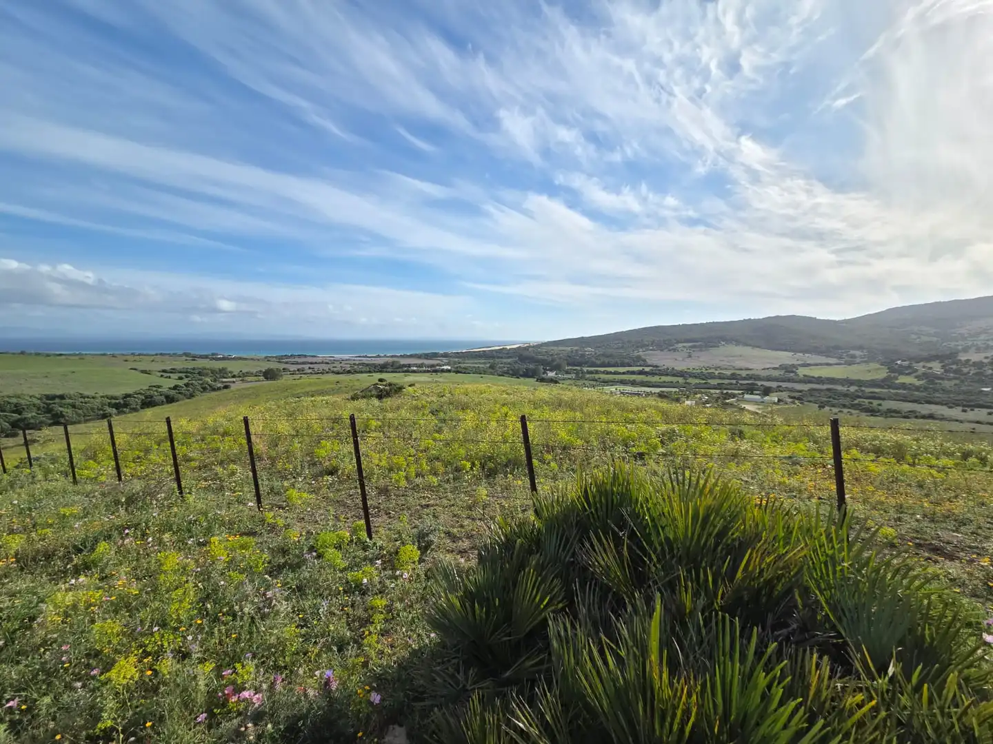 Terreno en venta en Tarifa