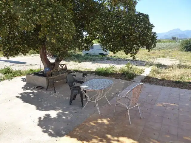 Villa con terrazza in vendita a Xerta, imagen 55